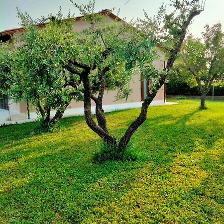 Il Melograno Apartment Lucca Exterior foto
